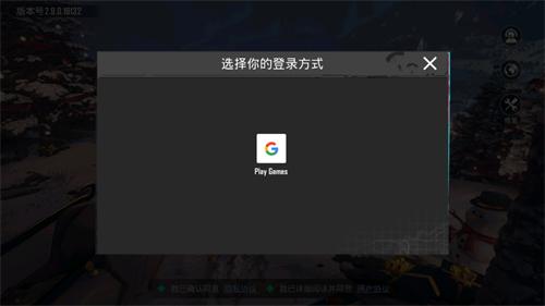 和平精英国际服