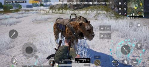pubg国际服