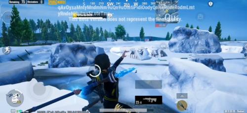 pubg国际服