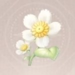 无限暖暖小棉菊在哪-小棉菊获得方法