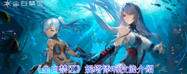 尘白禁区妮塔悸响技能介绍