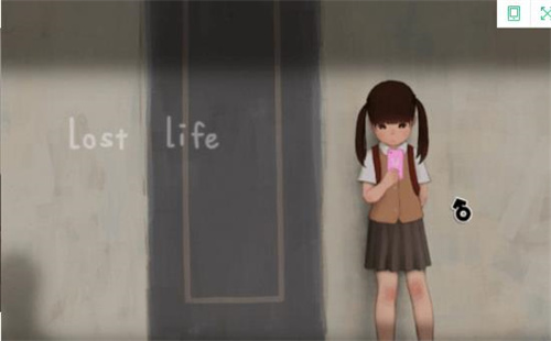 lost life