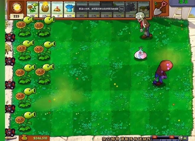 植物大战僵尸杂交手机版