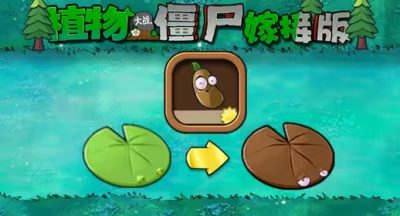 《植物大战僵尸嫁接版》新植物咖啡豆荷叶介绍