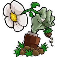 植物大战僵尸转基因版本