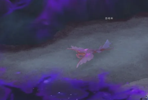 魔兽世界邪斑鱼卵怎么获得_wow邪斑鱼卵获得攻略