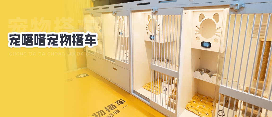 宠嗒嗒app