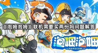 《泡姆泡姆》联机需要买两份吗问题解答