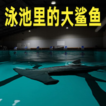 饥饿鲨鱼生存世界