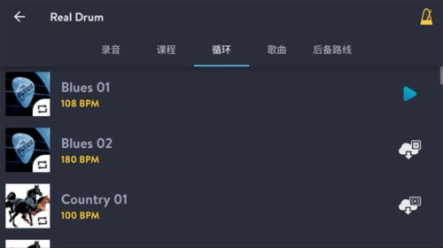 Real Drum12